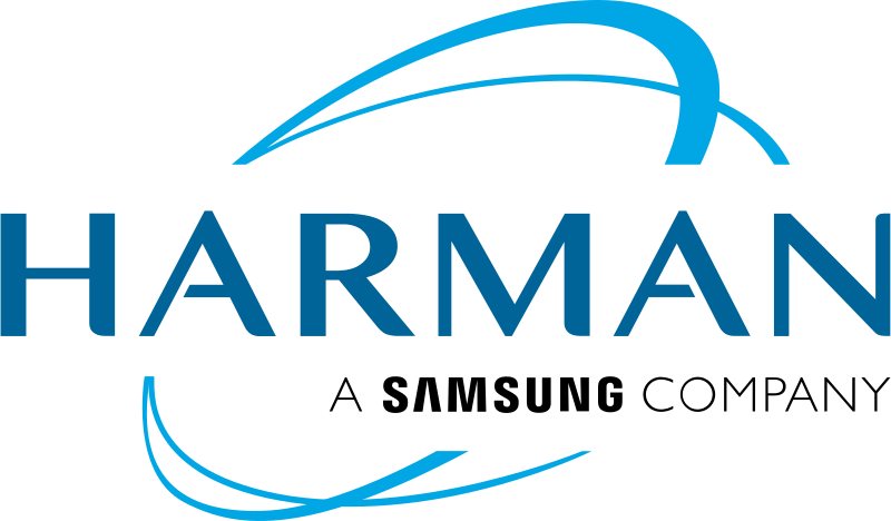Technical Lead